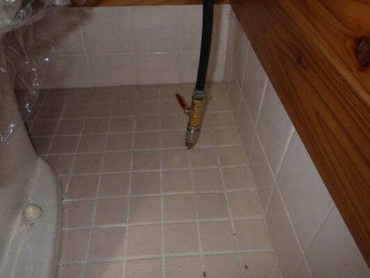 玄関周辺の木材まで被害が出ていました。早めに気づけてよかったです。