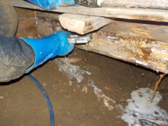 愛知県日進市のシロアリ駆除施工事例|木造戸建・築40年|M.N様邸