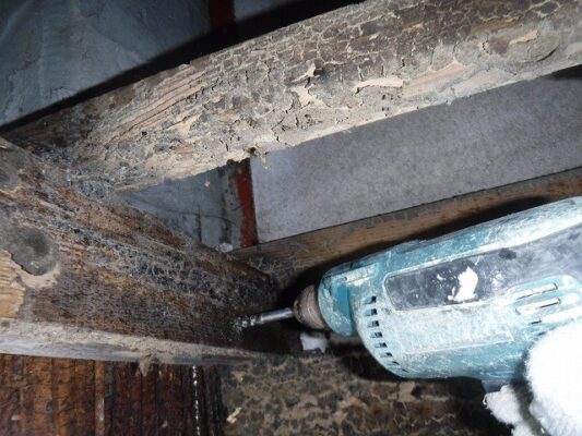 リフォーム前に発見できて良かったです。