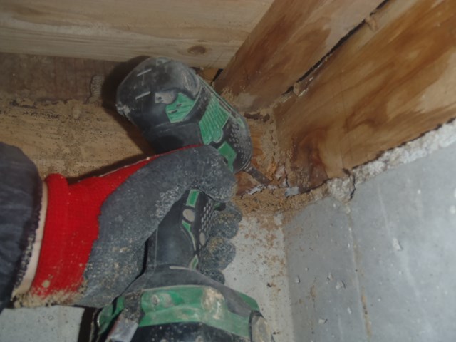 兵庫県神戸市I.F様のシロアリ防除工事