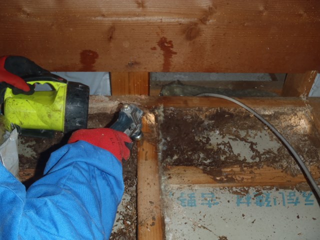 神奈川県横浜市のシロアリ駆除施工事例|木造戸建・築29年|A.M様邸