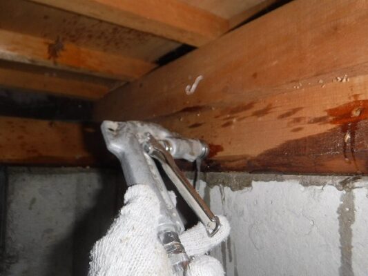 早期発見だったので大きな問題にはいたらず処理と点検のみで完了