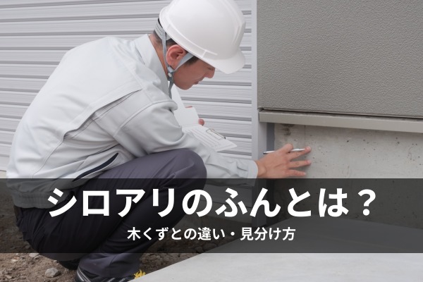 シロアリのふんとは?